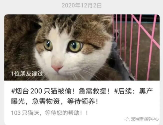 先捐1000多斤猫粮 又赠门票 久生joyzone公益来真的 公益 维宠宠物导航网