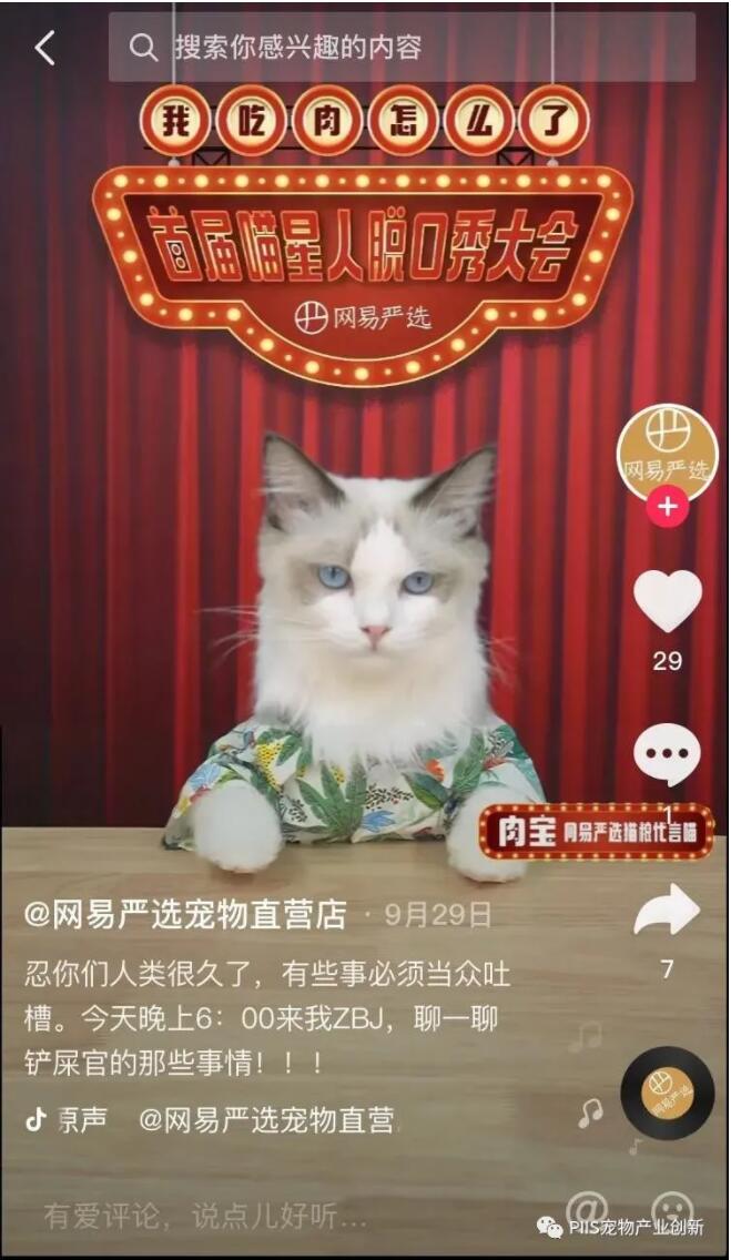 观复猫暑期说_观复猫打碎古董_观复嘟嘟老炮儿说老炮儿